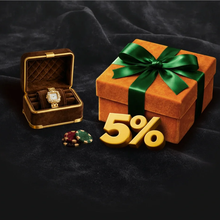 WildChance Zahlungsmethoden Übersicht